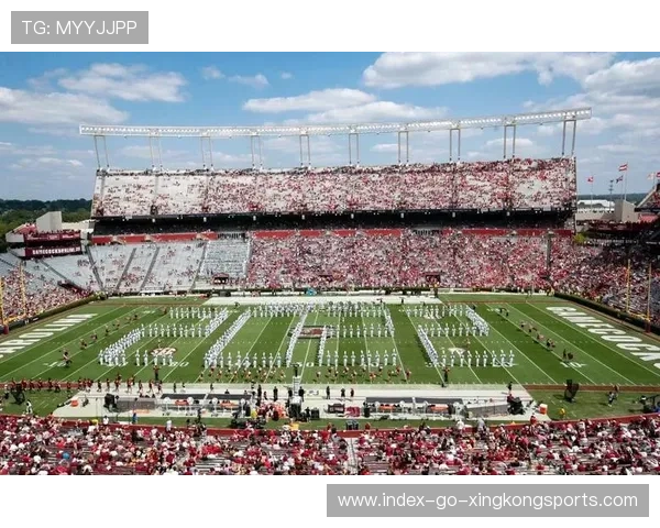 NFL 三强争霸!超级碗赔率最新变化