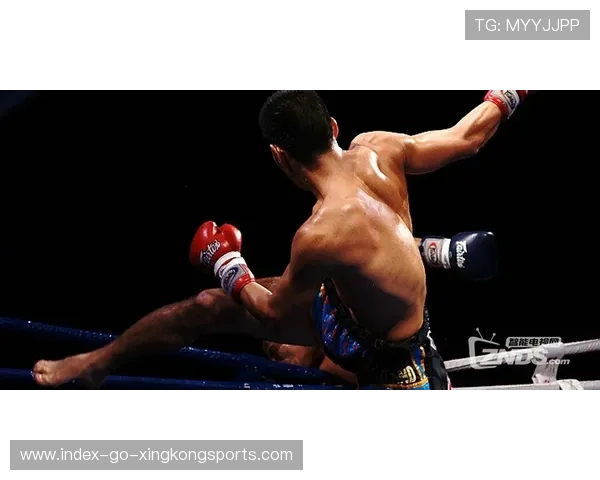 MMA地面过渡技巧成高水平分水岭